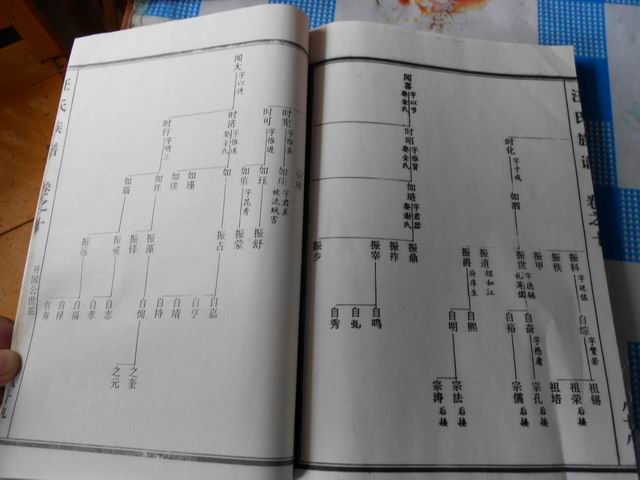 调整大小 照片 010.jpg