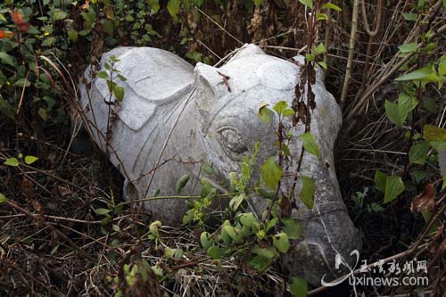 汪氏宗祠文物图片275