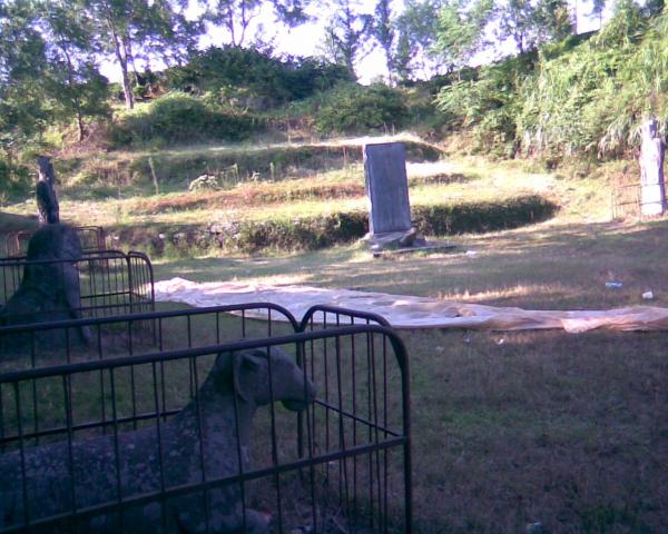 汪氏宗祠文物图片