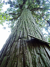 文物展览图片78