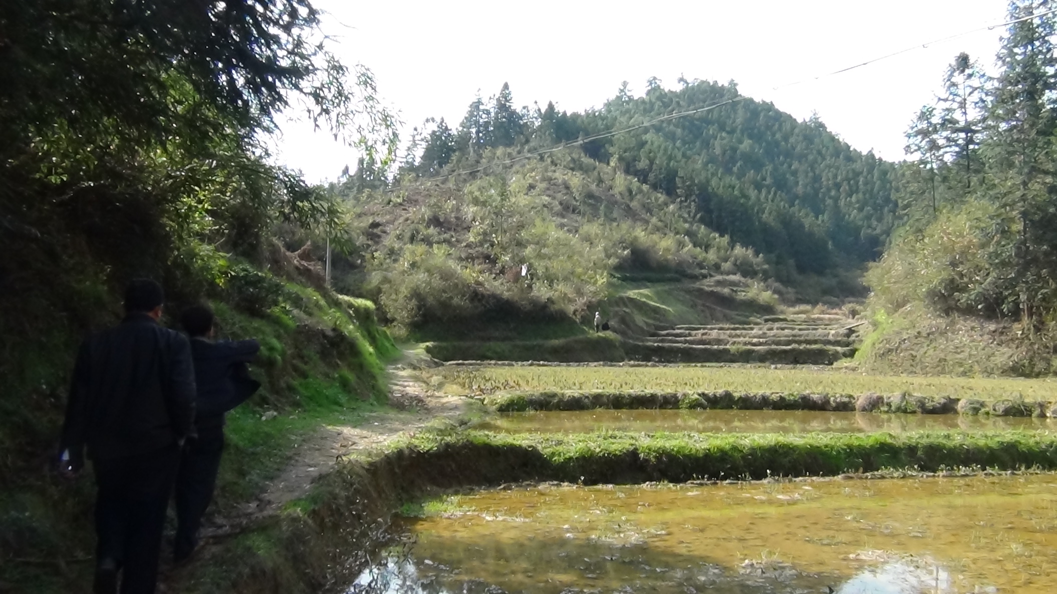 53世起公墓中间山嘴