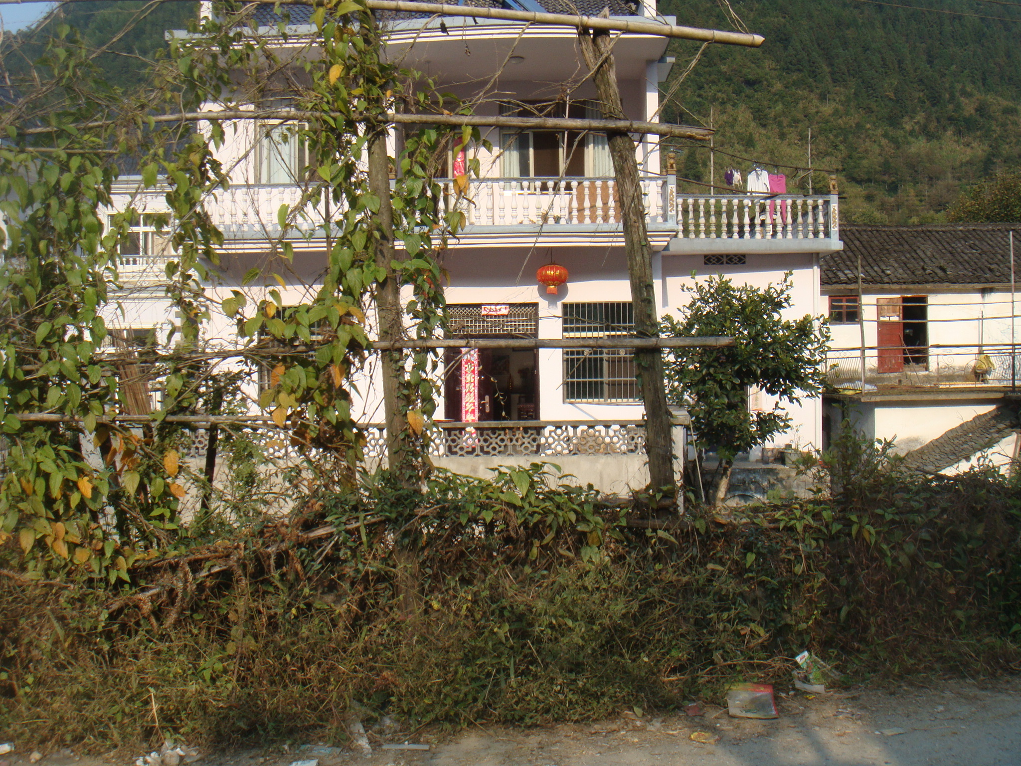 中高公墓地2（休宁县陈霞乡回岭村）.JPG