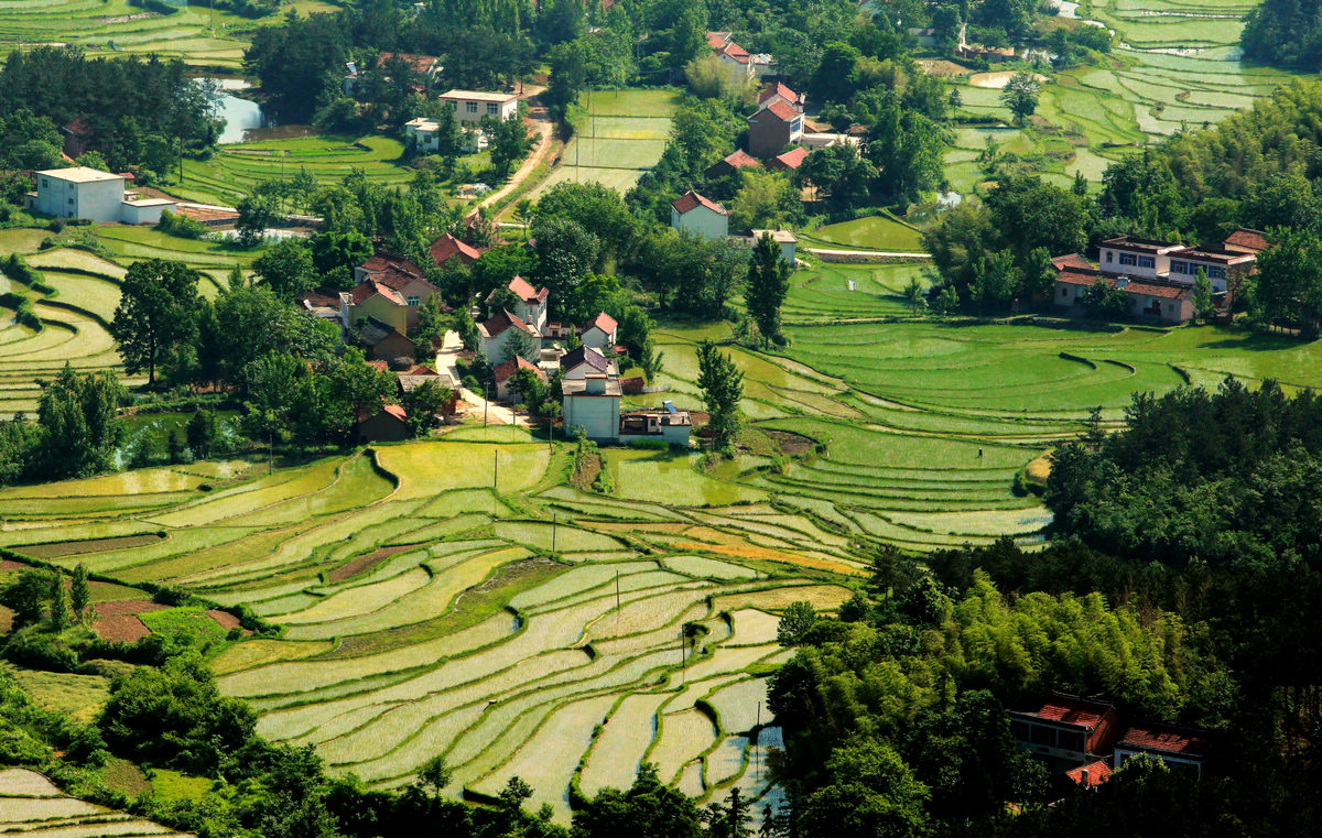 固始一绝——梯田
