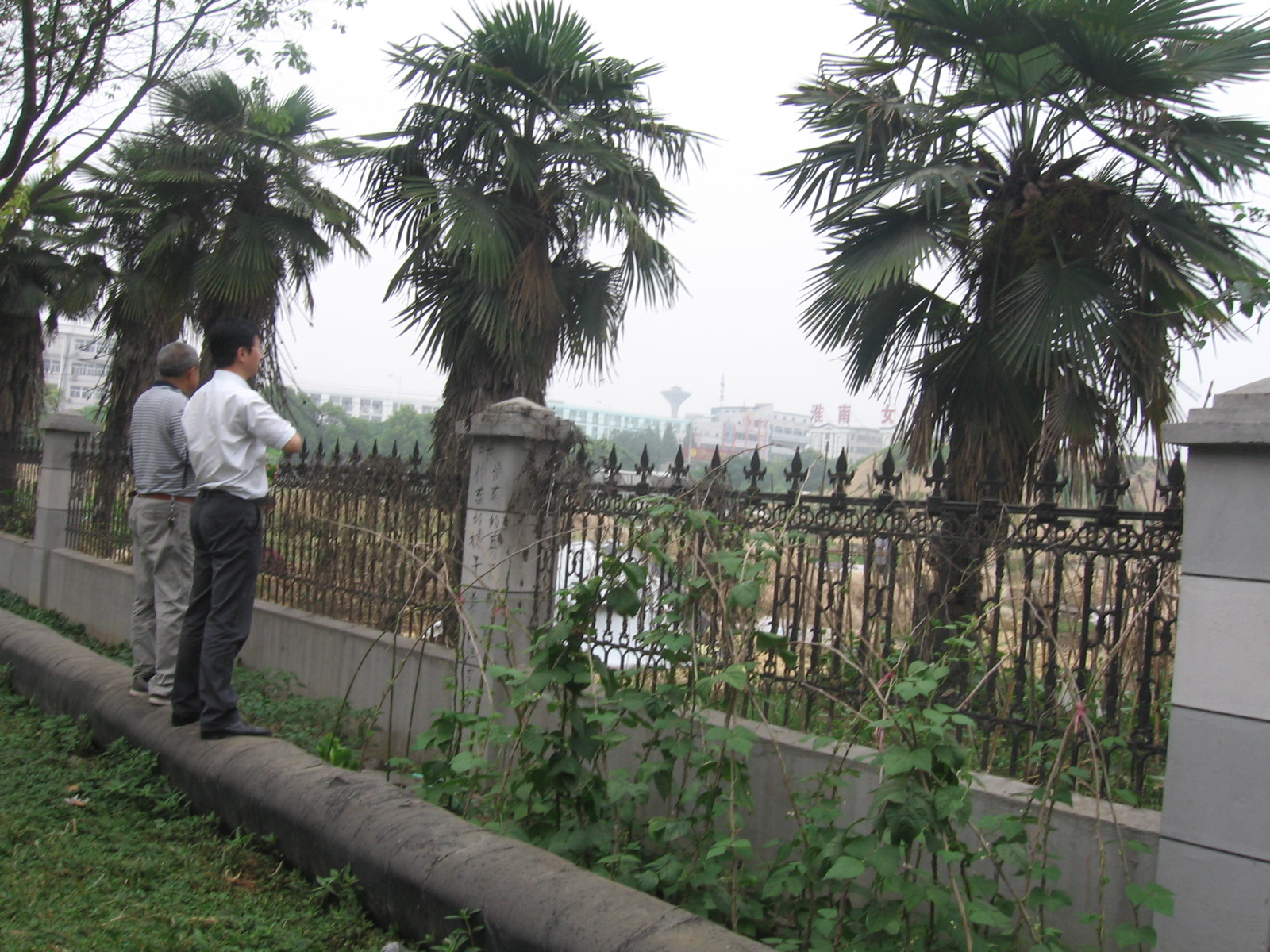 院长陪我和传海爷看新买70亩新院址