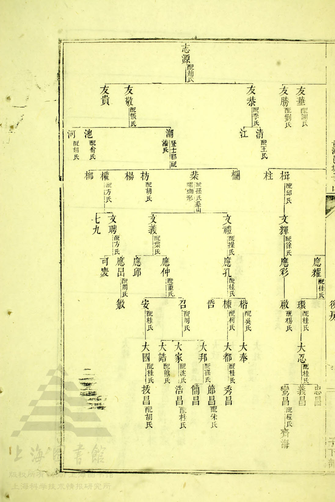 5—128，81世 源 世系