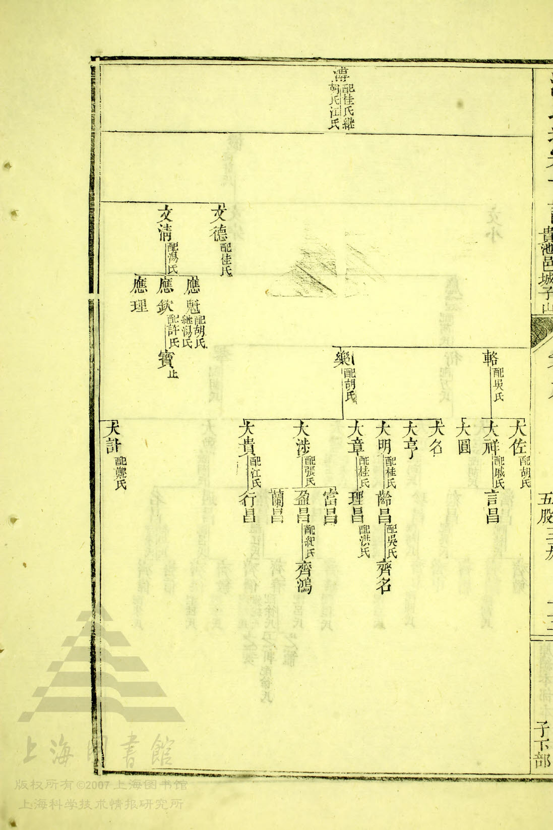 5—116，83世 溥 世系