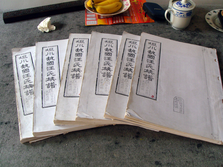 族谱全套共六大本