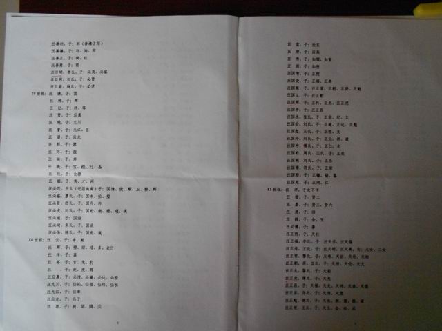 调整大小 DSCN0008.JPG