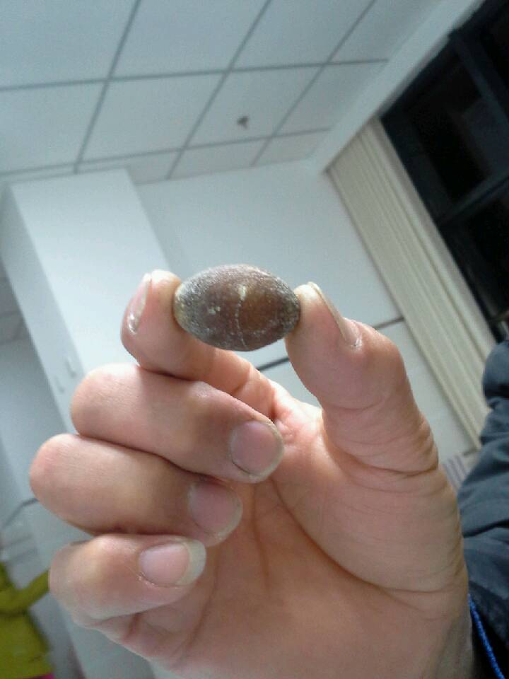 呵呵他身上的宝贝