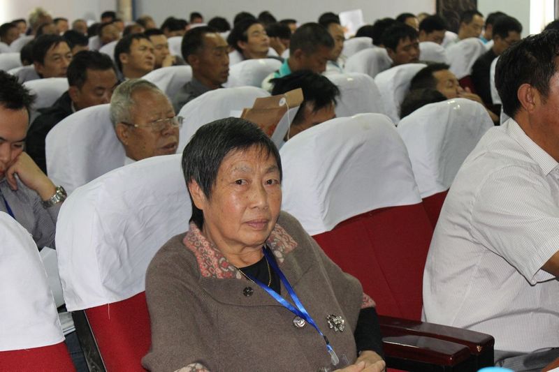 汪家的楷模(镇雄汪子君的夫人吴巧明), 她向本次会议个人捐助2000元