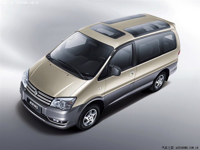 汪氏爱车全景五天窗更明更亮。