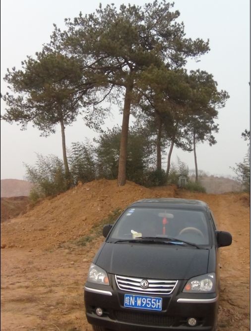 胖子道生开着汪华文化爱车--皖NW955H走遍全国汪氏祖居地。