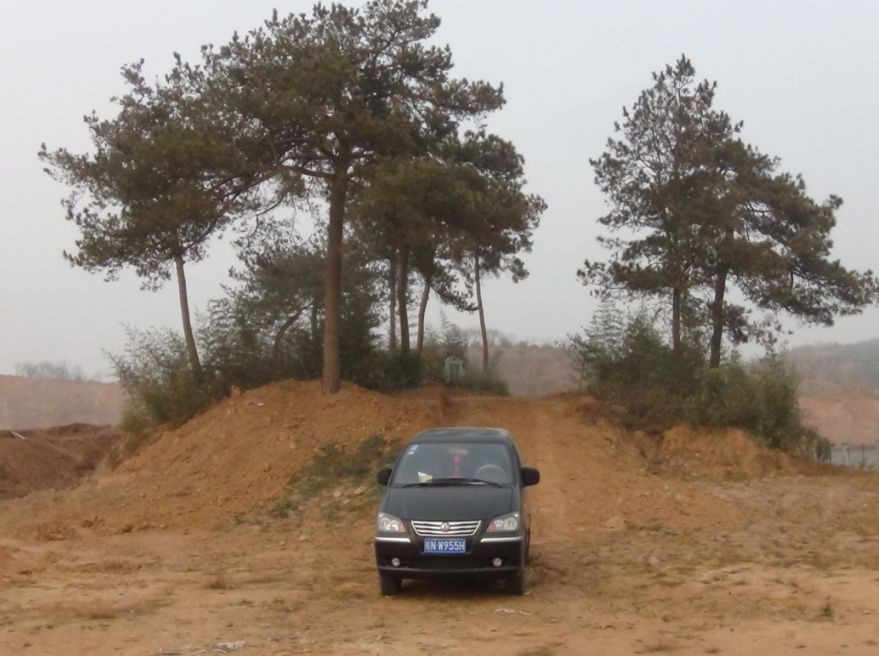 愿我汪氏象征青松一样永远四季长青。