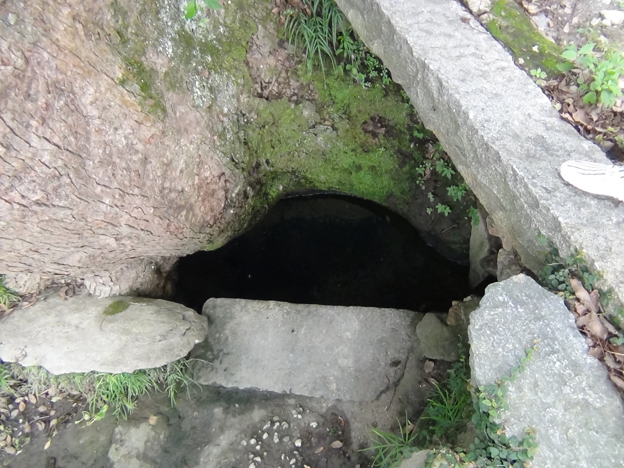 井水源源不断，甘甜爽口神地也。